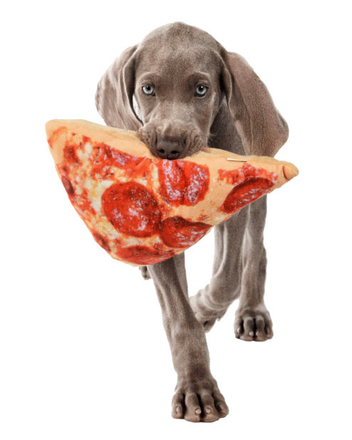 Can Dogs Eat Pepperoni